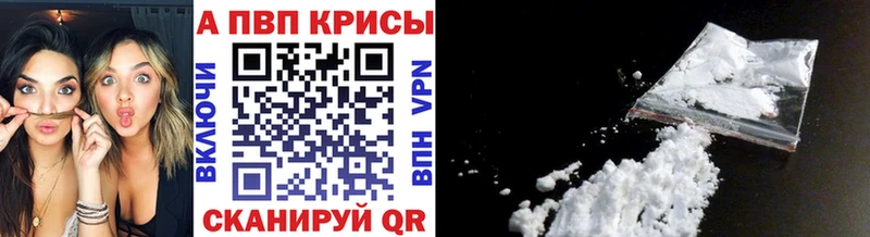 APVP СК КРИС  Людиново 