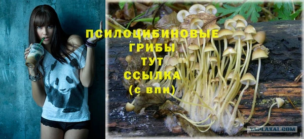 дурь Абаза