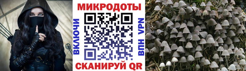 Галлюциногенные грибы прущие грибы  omg зеркало  Людиново 